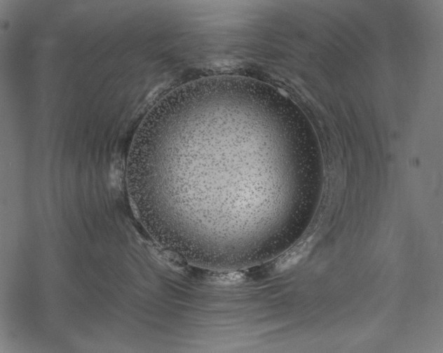 X0000077990576200611031423
