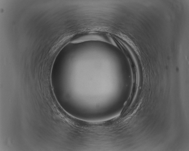 X0000077990577200611031423