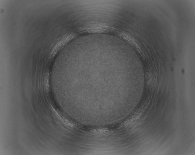 X0000077990586200611031422