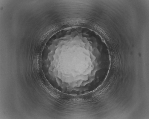 X0000077990590200611031422