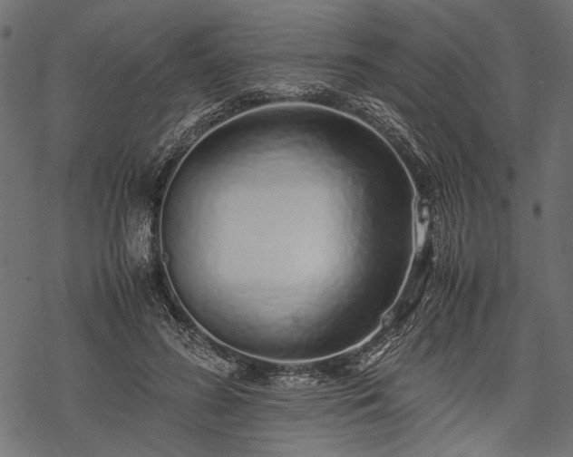 X0000077990596200611031422