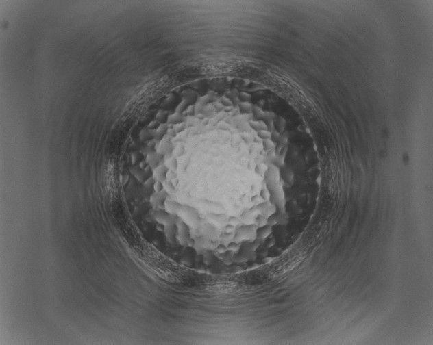 X0000077990598200611031422