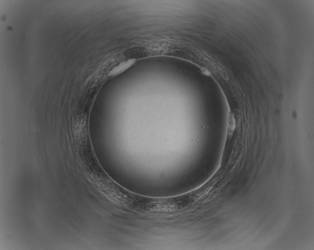 X0000077990601200611031422