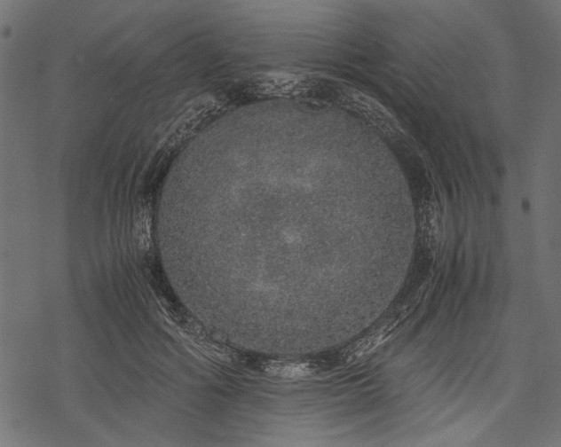 X0000077990602200611031422