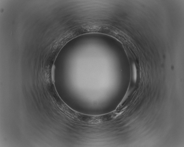 X0000077990604200611031422