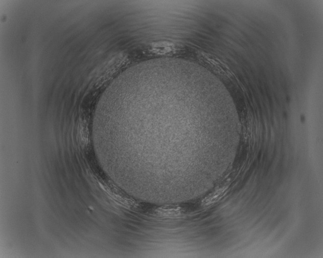 X0000077990606200611031422