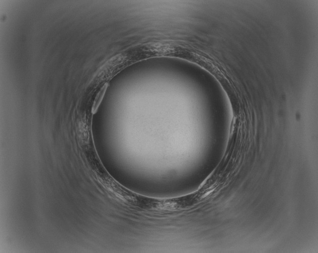 X0000077990609200611031422