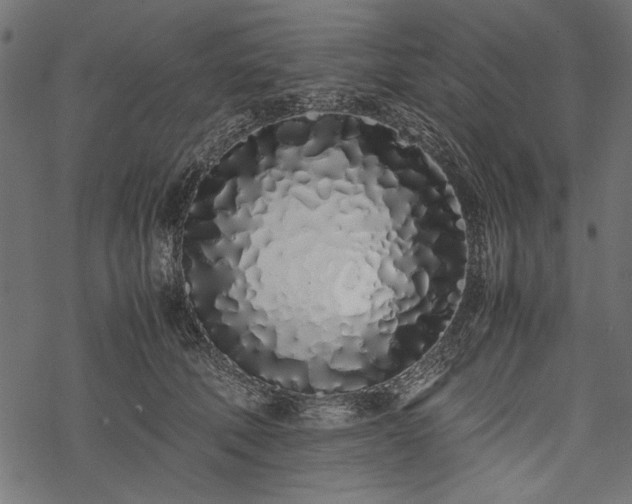 X0000077990610200611031422