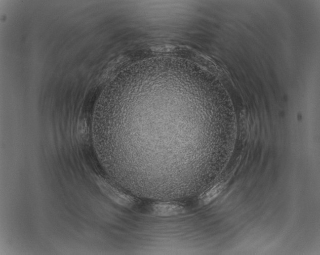 X0000077990614200611031422