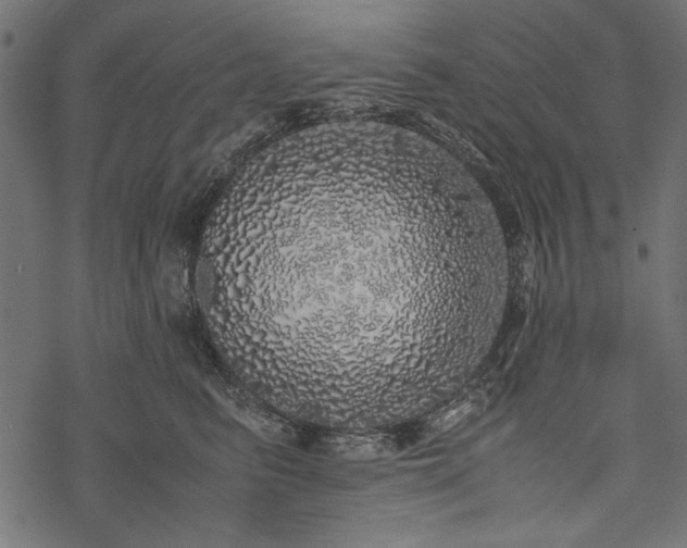 X0000077990615200611031422