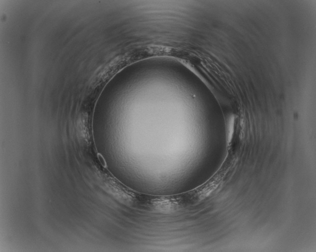X0000077990616200611031422