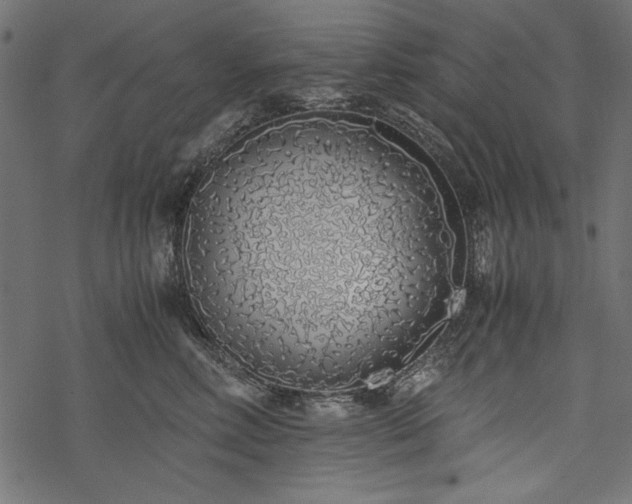 X0000077990618200611031422