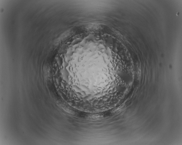 X0000077990619200611031422