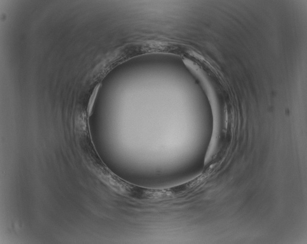 X0000077990621200611031422