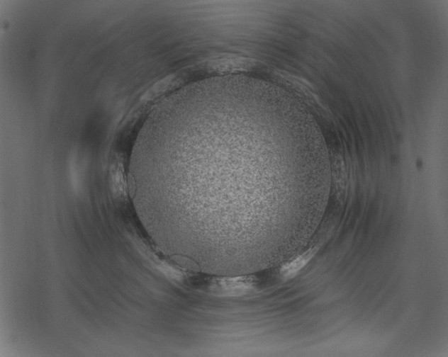 X0000077990622200611031422