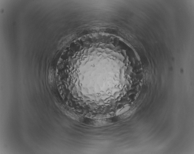 X0000077990623200611031422