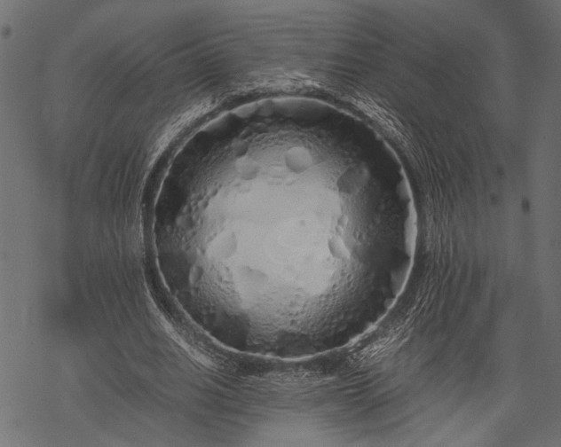 X0000077990630200611031421