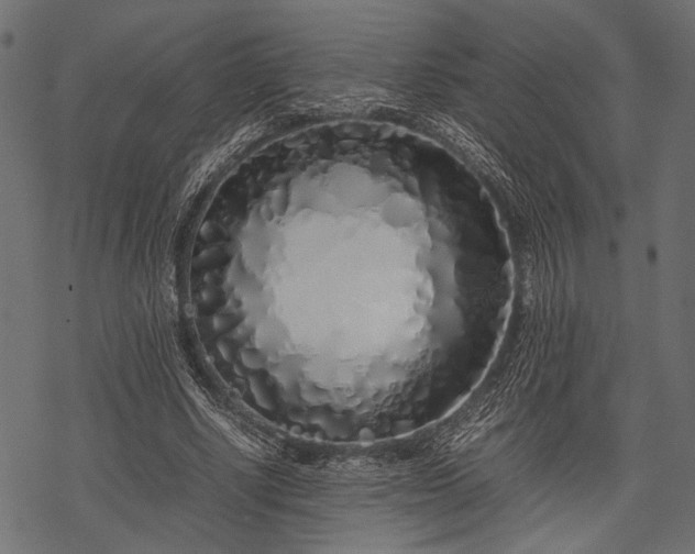 X0000077990634200611031421