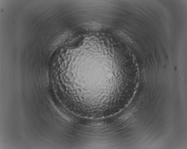 X0000077990638200611031421