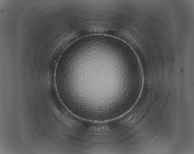 X0000077990639200611031421