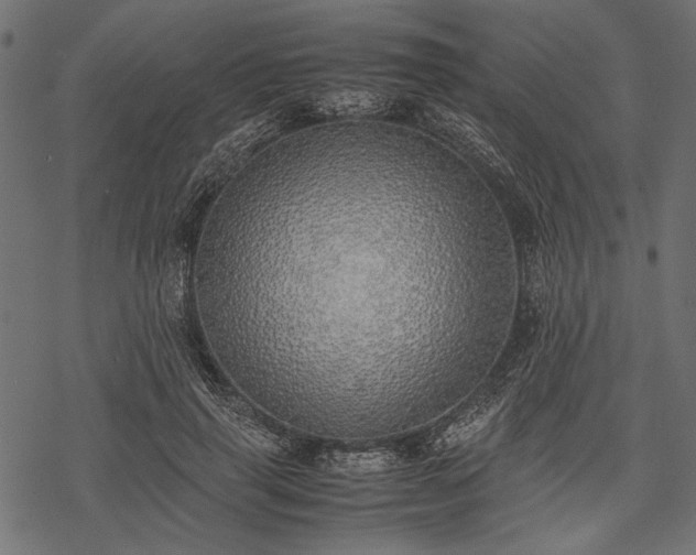 X0000077990645200611031421