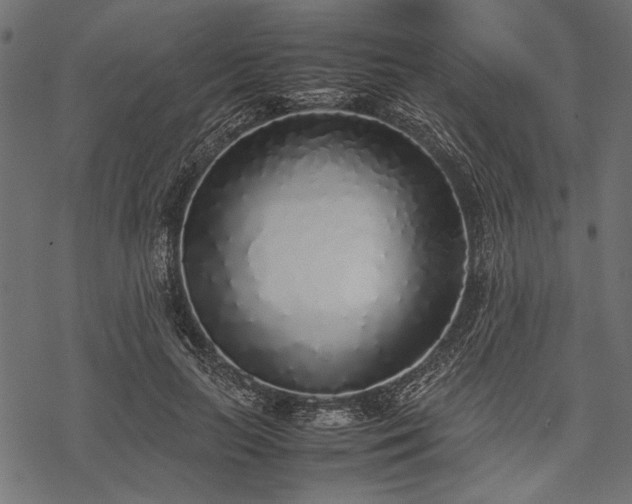 X0000077990647200611031421