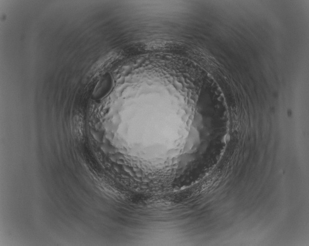 X0000077990648200611031421