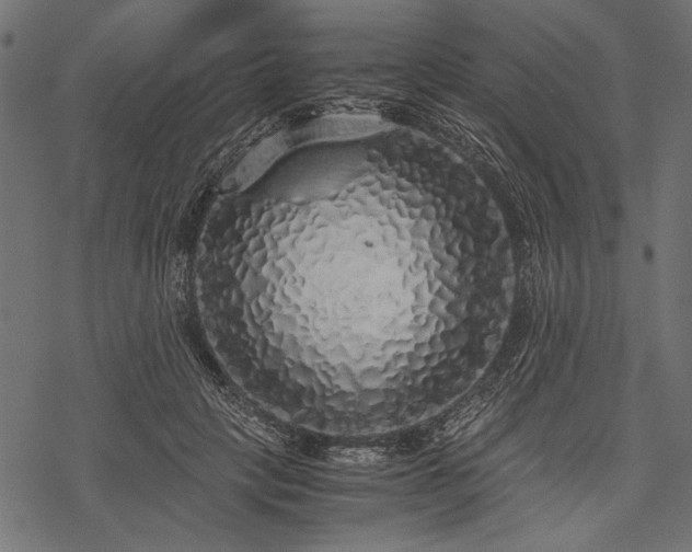 X0000077990649200611031421