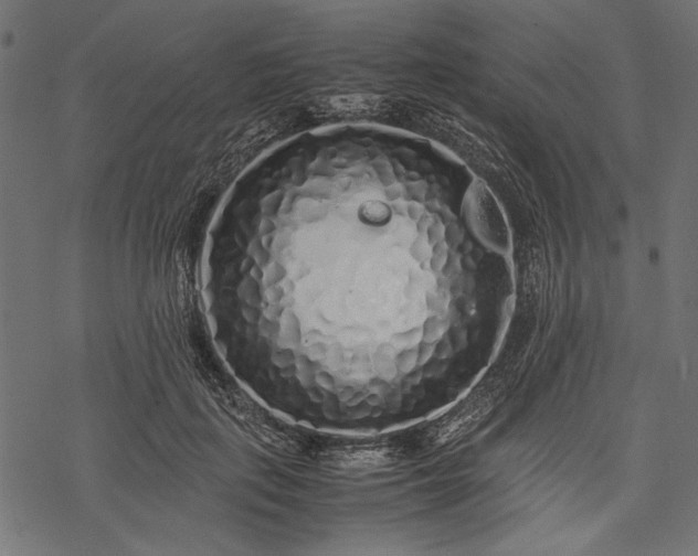X0000077990651200611031421