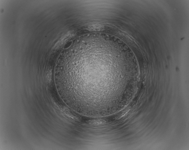 X0000077990652200611031421