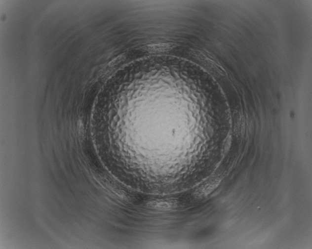 X0000077990655200611031421