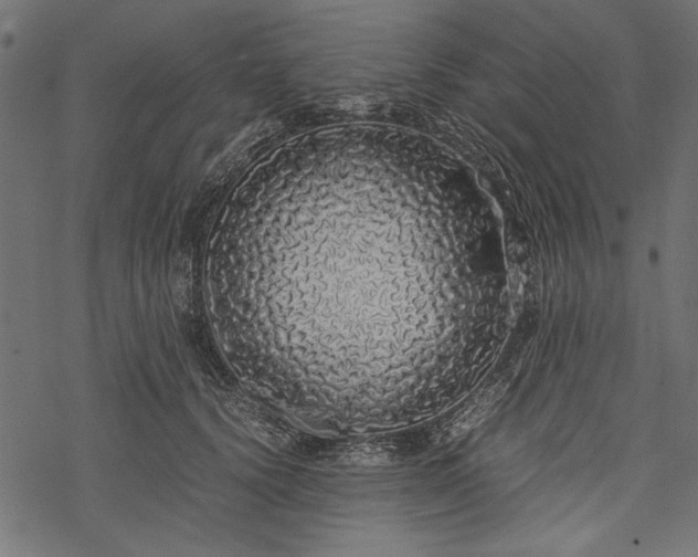 X0000077990656200611031421