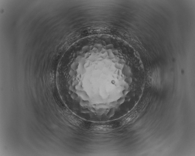 X0000077990657200611031422