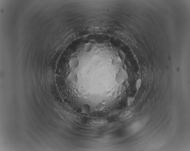 X0000077990659200611031422