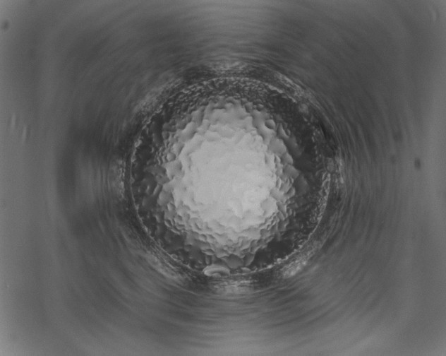 X0000077990664200611031422