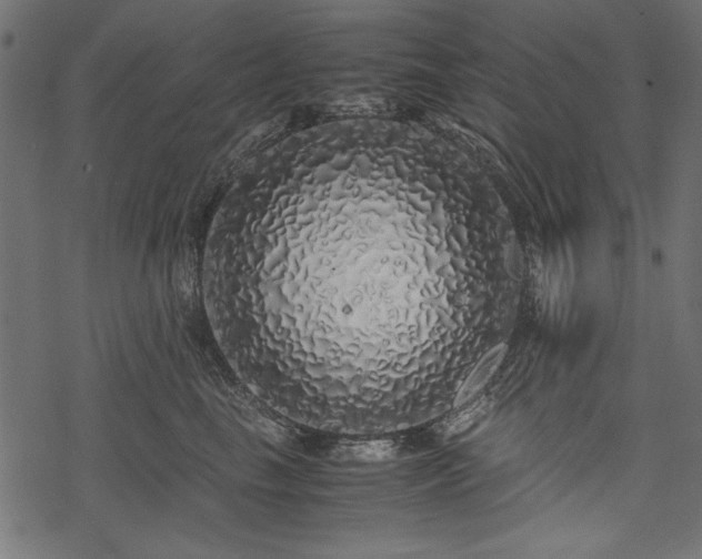 X0000077990665200611031422