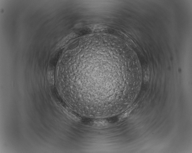 X0000077990666200611031422