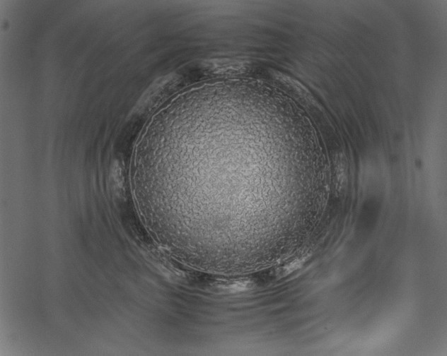 X0000077990667200611031422