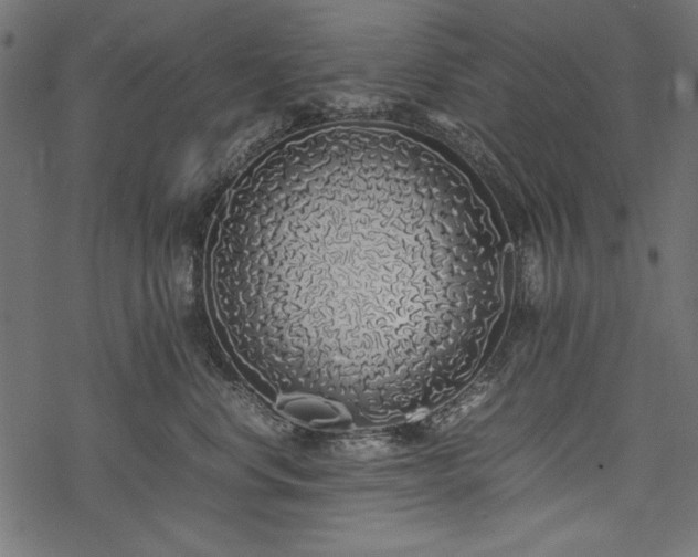 X0000077990668200611031422