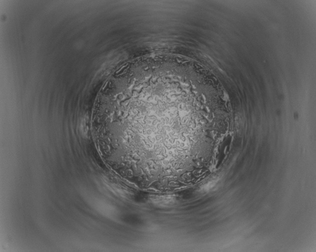 X0000077990671200611031422