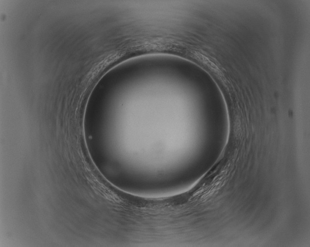 X0000077990673200611031421