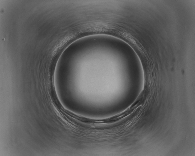 X0000077990677200611031421