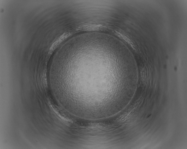 X0000077990682200611031421