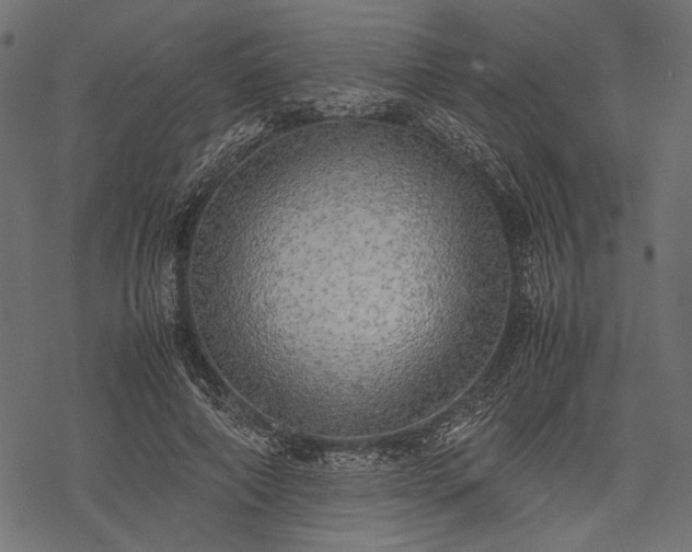 X0000077990690200611031421