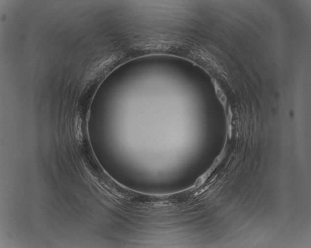 X0000077990692200611031421