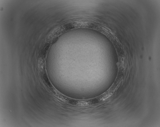 X0000077990701200611031421