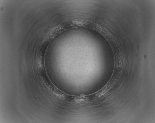 X0000077990706200611031420