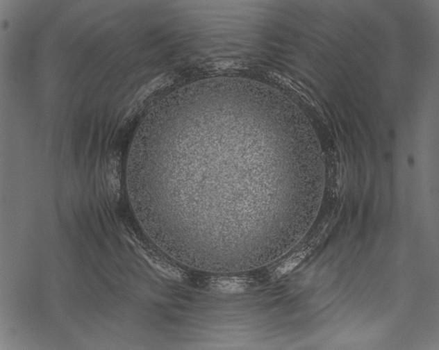 X0000077990710200611031420