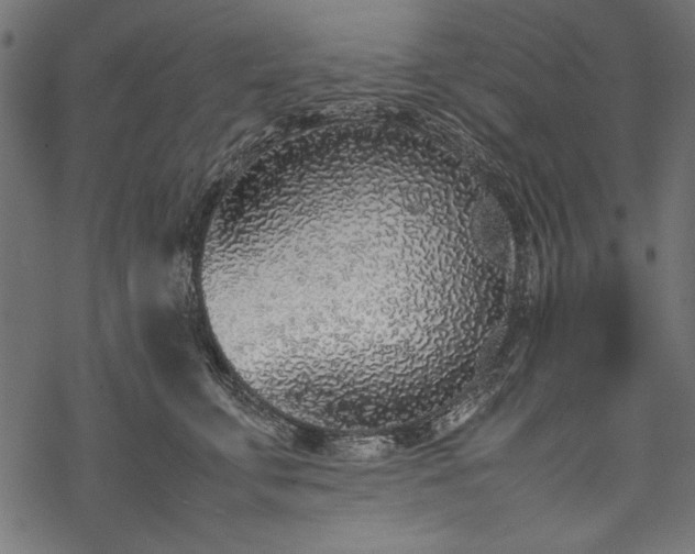 X0000077990711200611031420