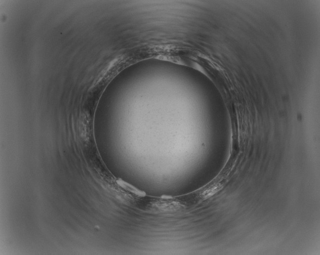 X0000077990712200611031420